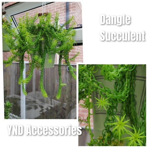 Rare dangle indoor - 5,