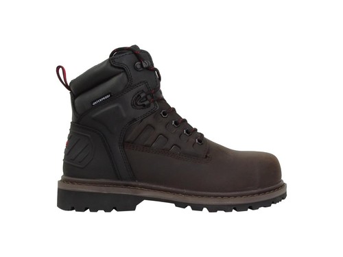 Hoggs fife hercules - of,