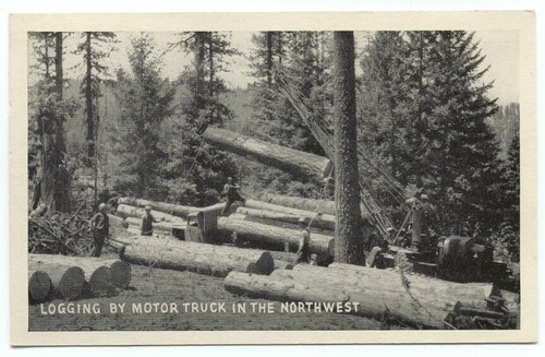 Logging motor truck the - logging,