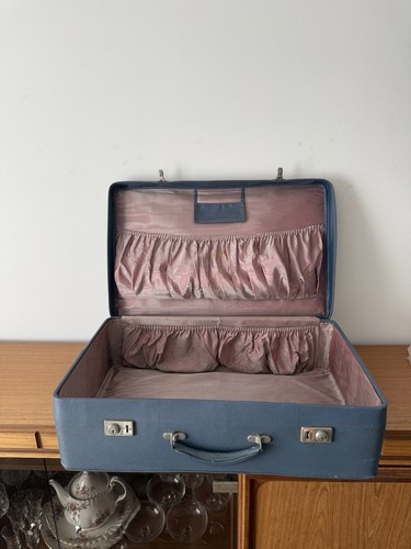 Blue antler vintage retro case - antler,