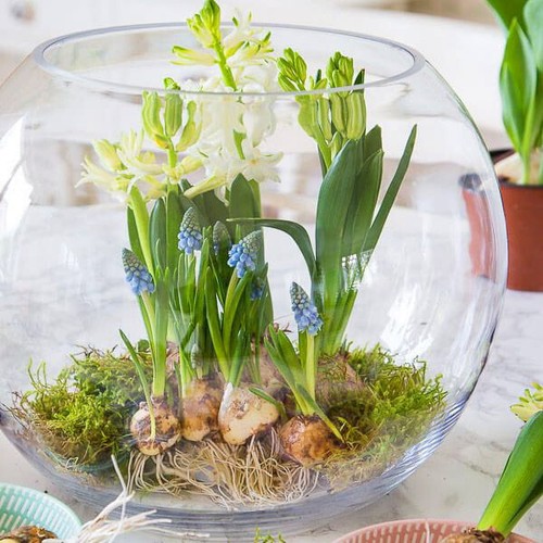 Glass handmade large fish bowl - glass,