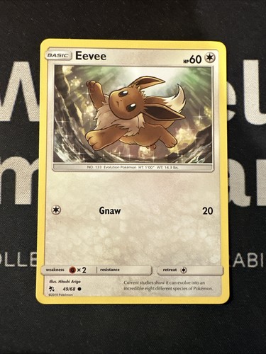 Pokemon eevee hidden - pokemon, 49/68