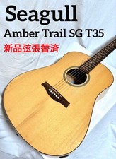 [New strings replaced] Seagull