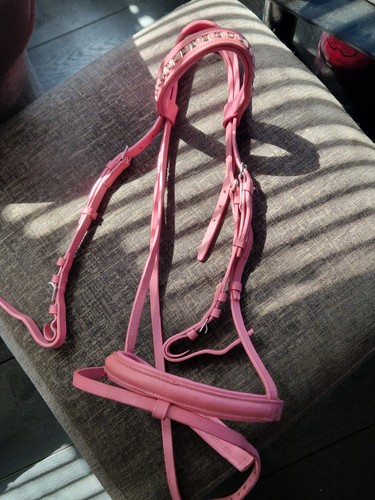 Pink bridle with - with, flash