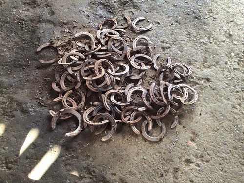 Horseshoes used - 🐴🌟10, x