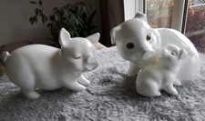 ROYAL OSBORNE BONE CHINA PIGS 