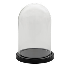 Glass Display Cloche Bell Jar Dome Flower Preservation Vase Black Wood Base 25cm