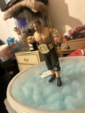 WWE Wrestler With Belt