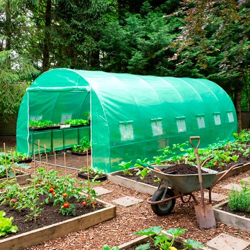 Polytunnel greenhouse poly - polytunnel,