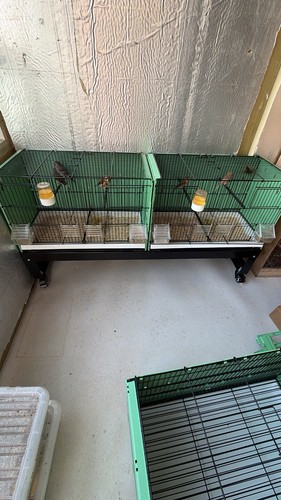 Breeding cage - breeding,