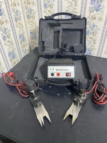 Bonsai hero with electric - bonsai,