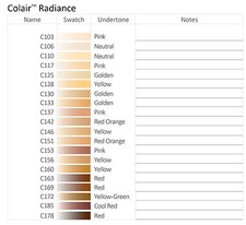 Dinair Airbrush Makeup Colair