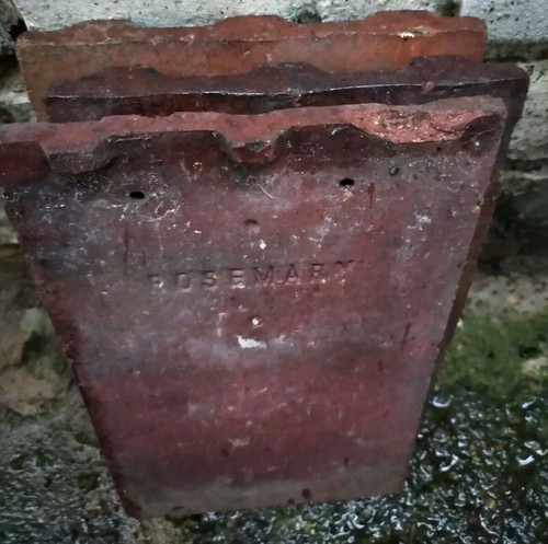 Reclaimed red rosemary clay - reclaimed,