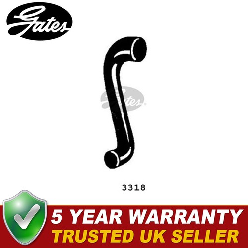 Gates lower radiator hose - radiator,