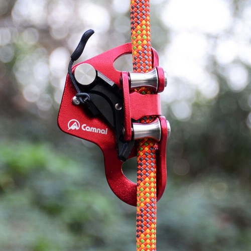 Rock tree climbing chest - rock,