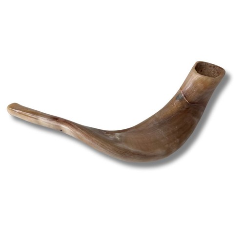 Kosher polished ram horn - polished, ram's