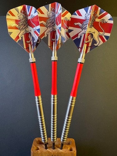 Gram tungsten darts eric - 24,