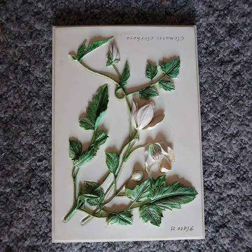 Hand painted flower wall - hand,