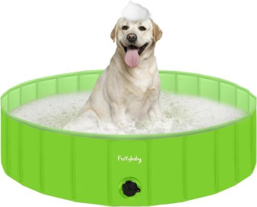 Dog bath pet puppy - dog,