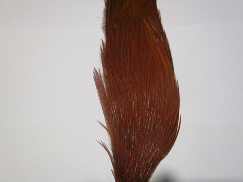 Metz cock neck cape brown - cape,