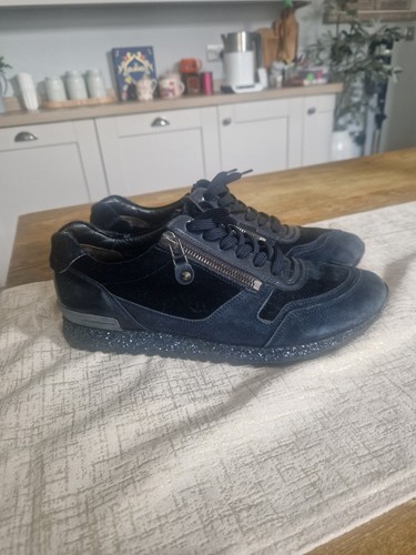 Kennel schmenger trainers - kennel,