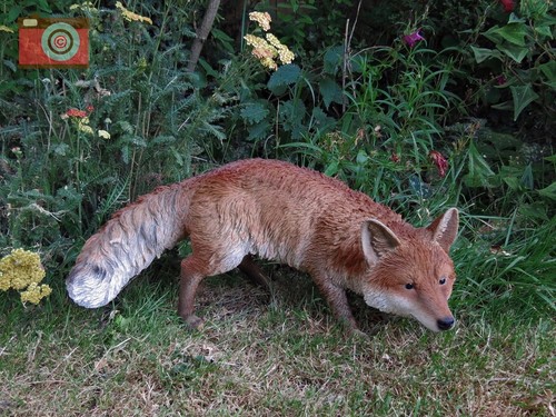 Prowling fox size - prowling, vivid