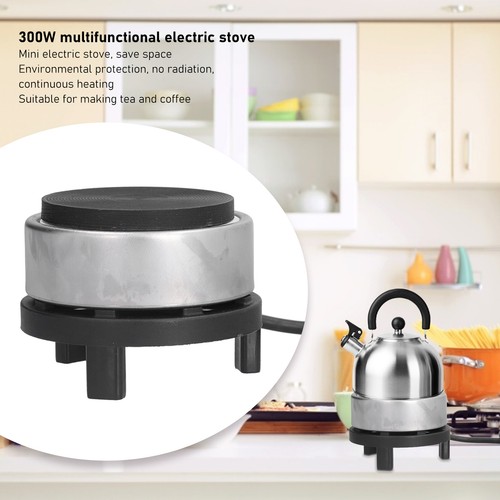 300w mini electric - mini,