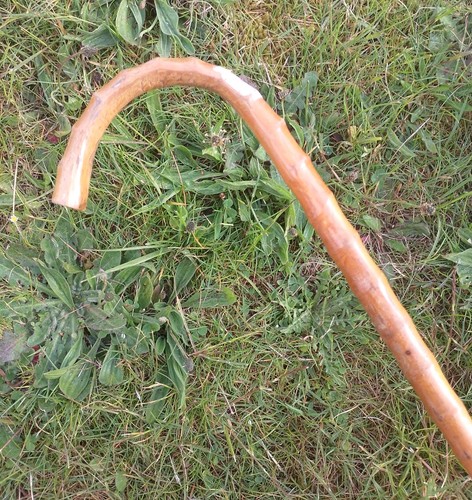 Vintage bamboo knobbly - vintage, walking