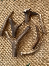 Red Deer Antler For Walking Canes, Knife Handles, Dog Chews, Arts & Crafts 500gm