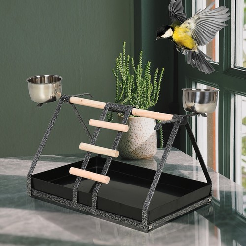 Bird playstand with - bird,