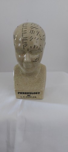 Fowler phrenology bust - l.n.,