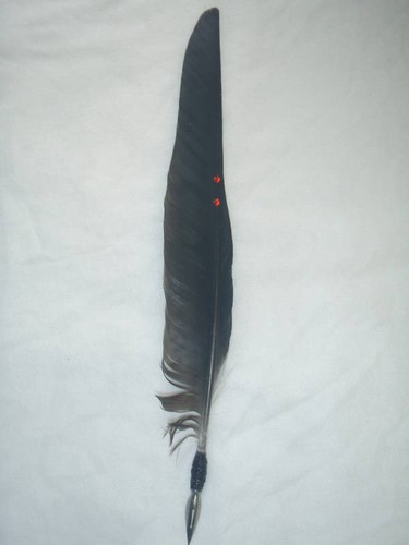 Crow flight feather - , pen