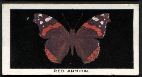 Tobacco card godfrey - card,,