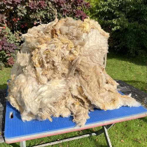 5kg 16lb raw unwashed - 16lb,