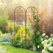 Floral Design Set of 2 Metal Trellis for Climbing Plants, 50 x 180cm