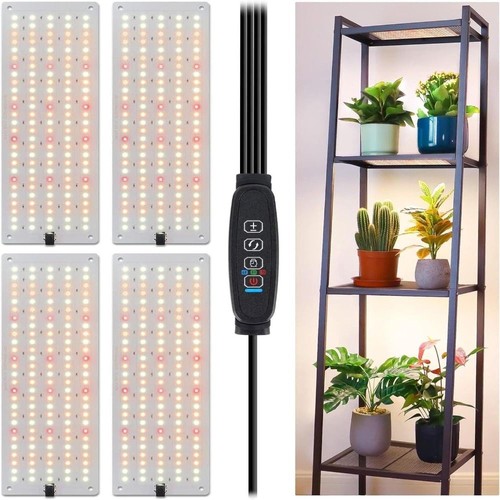Hour timer cycle plant - plant, grow