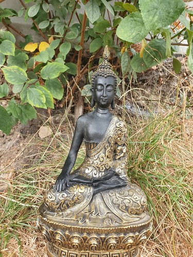 Beautifully detailed large - detailed,