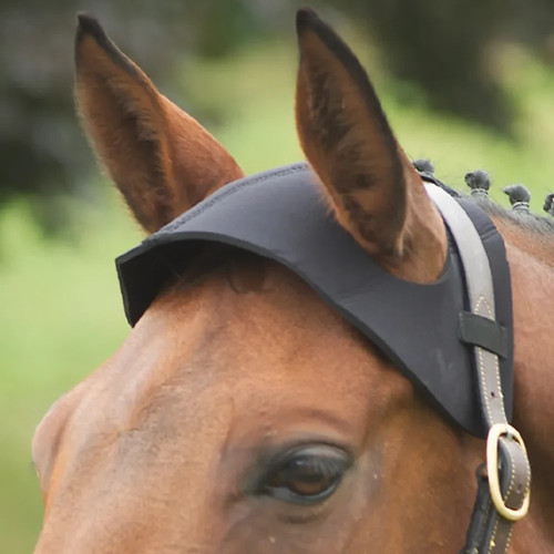 Equestrian poll guard - equestrian,