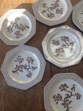 Brown white floral cherry