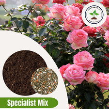 Rose Compost With Slow Release Osmocote Fertiliser Full Season for Pro Results