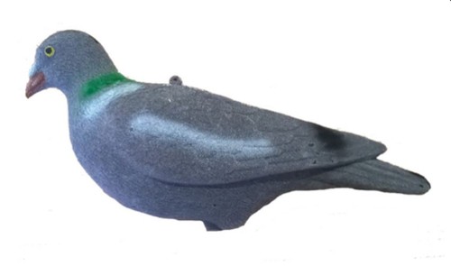 Pigeon whole body decoys - pigeon, flock