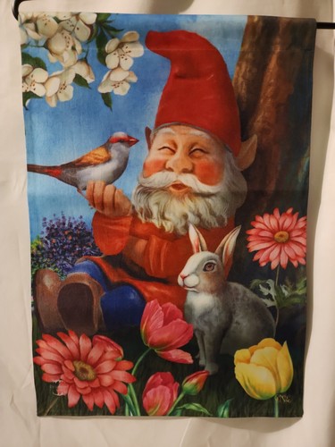 Garden gnome - garden,