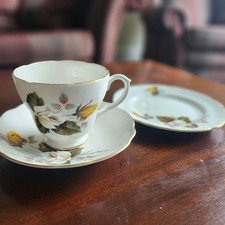  Harleigh Bone China Cup