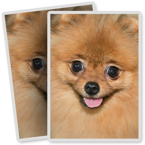 Vinyl stickers 7x10cm - 2,