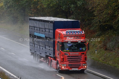 Truck photo 12x8 scania - truck,