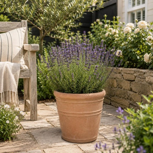 Tuscany plant pot indoor - tuscany,
