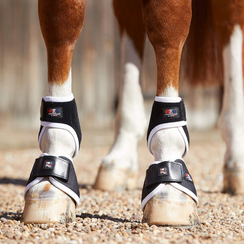 Premier equine magni teque - premier,