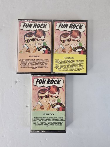 Vintage fun rock cassette - fun,