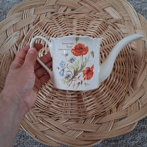 Royal winton watering can - watering,