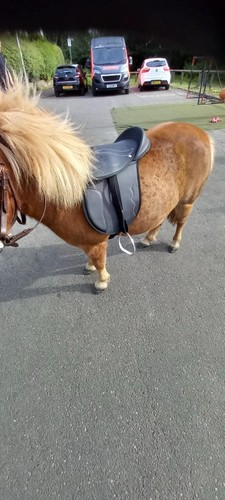Pony saddle set 12 - pony,